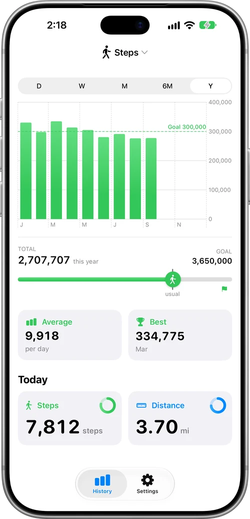 The Year chart of monthly steps